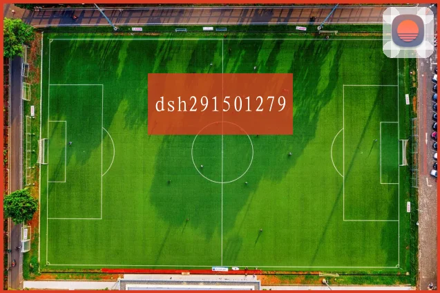 dsh291501279