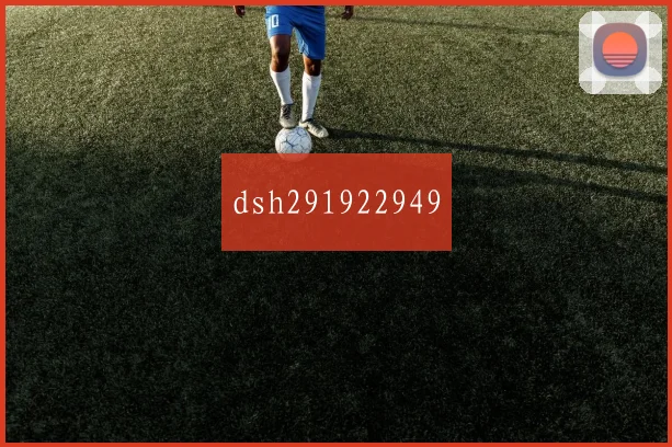 dsh291922949